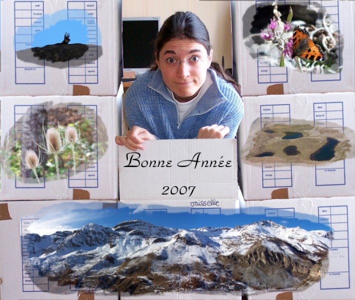 Bonnee année 2007