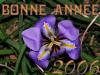 Bonne année en fleur