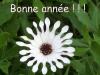 Bonne année 2002 (fleur)