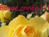 Bonne année 2002 (fleur)