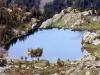 Lac de Trecolpas